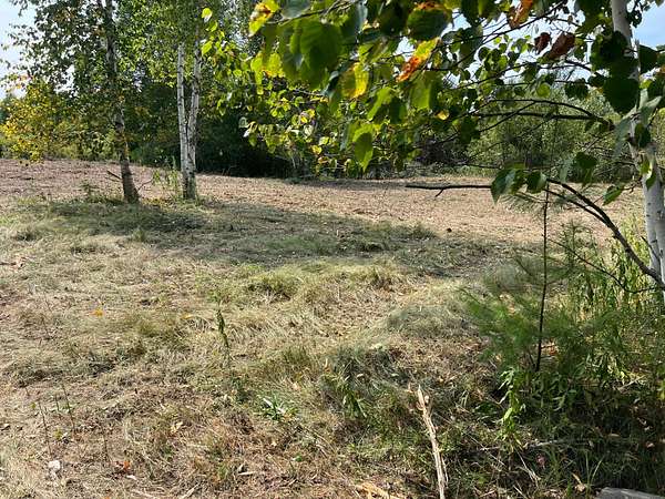 20 Acres of Recreational Land for Sale in Hinckley, Minnesota
