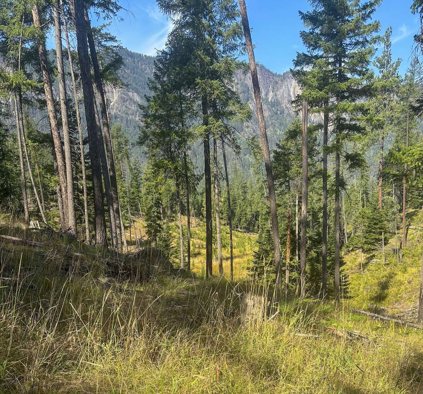 20.8 Acres of Recreational & Residential Land for Sale in Thompson Falls, Montana