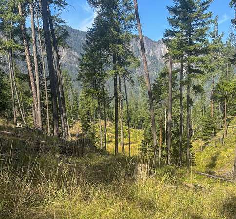 20.8 Acres of Recreational & Residential Land for Sale in Thompson Falls, Montana