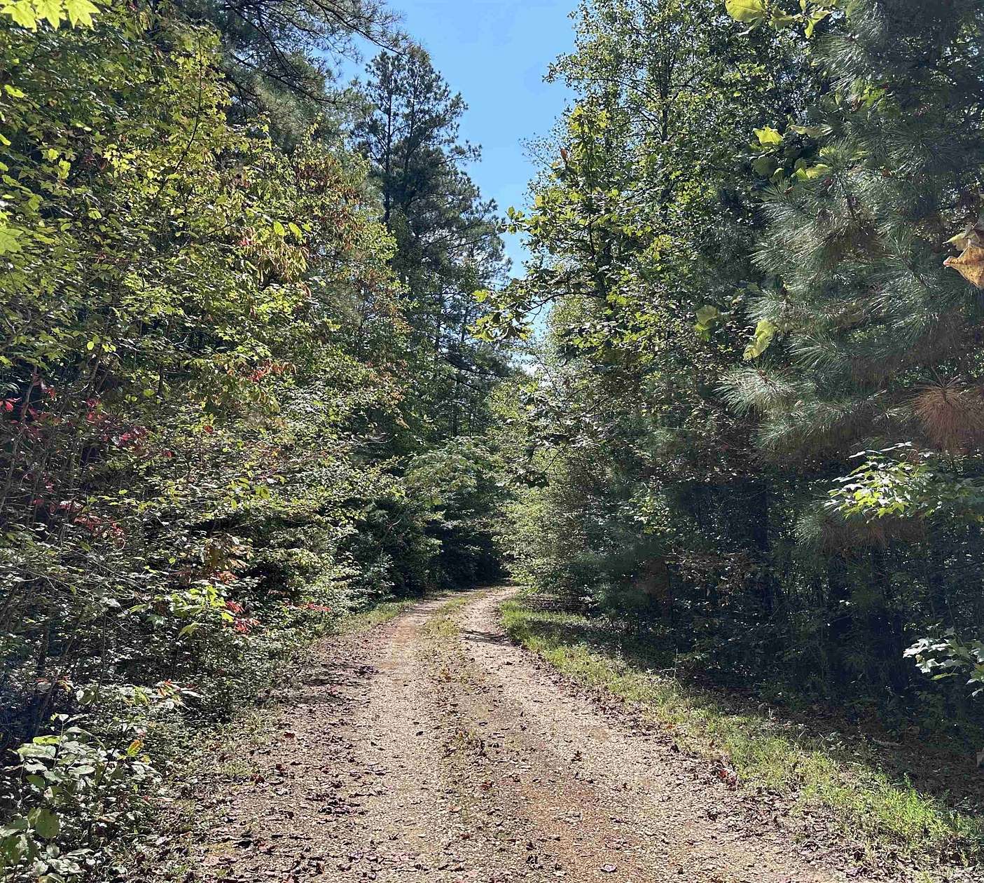 9.9 Acres of Residential Land for Sale in Double Springs, Alabama
