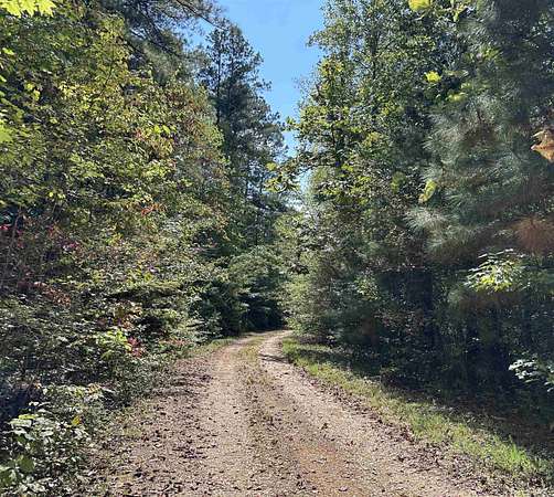 9.9 Acres of Residential Land for Sale in Double Springs, Alabama