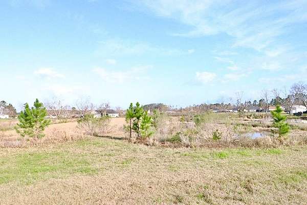 8 Acres of Land for Sale in Lakeland, Georgia