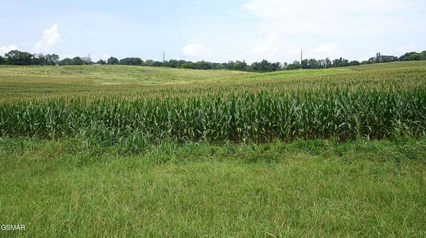 3 Acres of Commercial Land for Sale in Talbott, Tennessee