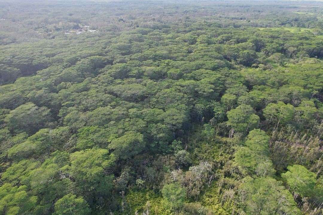 43.7 Acres of Land for Sale in Pahoa, Hawaii