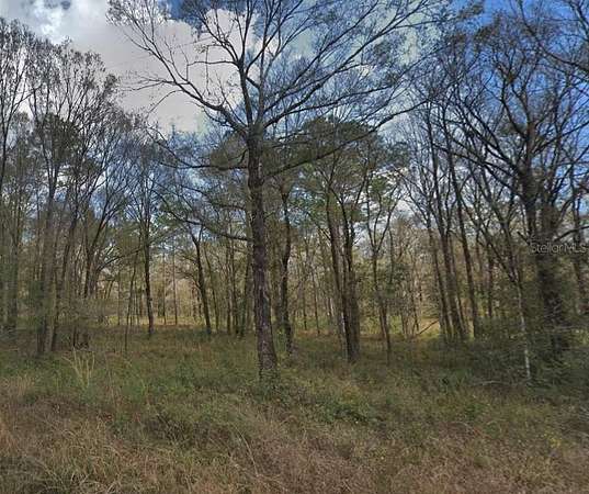 1.14 Acres of Residential Land for Sale in Hastings, Florida
