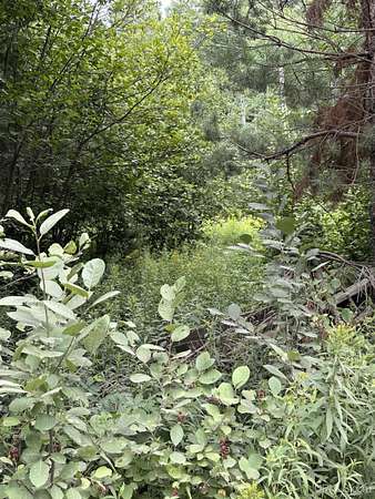 1.89 Acres of Land for Sale in Iron River, Michigan