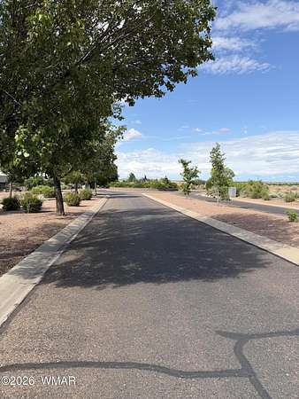 0.4 Acres of Residential Land for Sale in Snowflake, Arizona