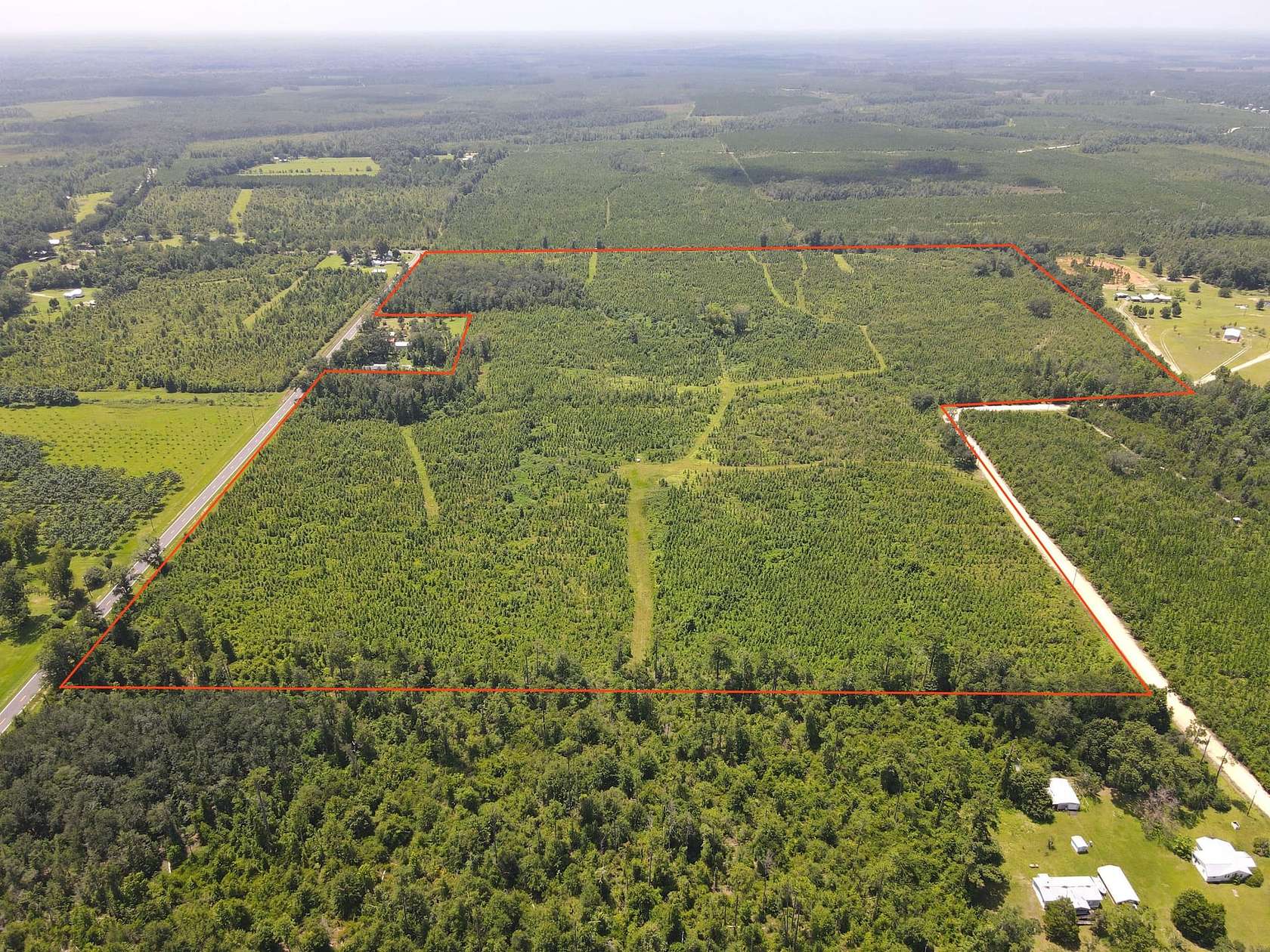 88.5 Acres of Recreational Land for Sale in Blountstown, Florida