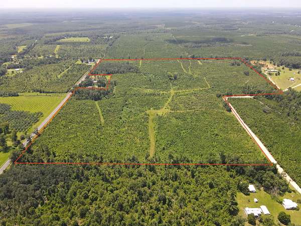 88.5 Acres of Recreational Land for Sale in Blountstown, Florida