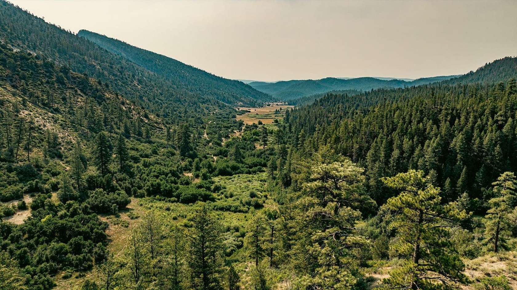 591 Acres of Land for Sale in Bayfield, Colorado