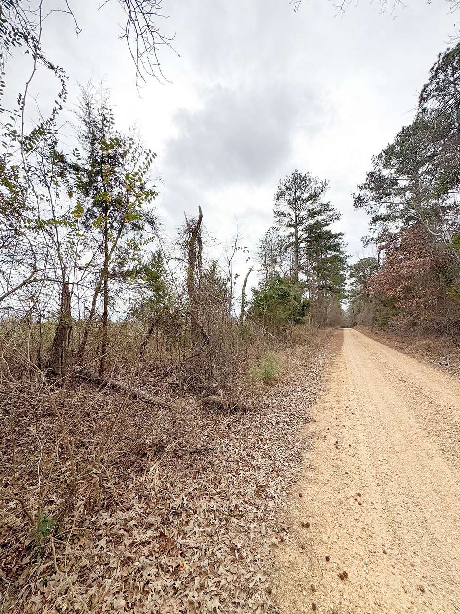 67 Acres of Recreational Land for Auction in Stephens, Arkansas