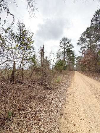 67 Acres of Recreational Land for Auction in Stephens, Arkansas