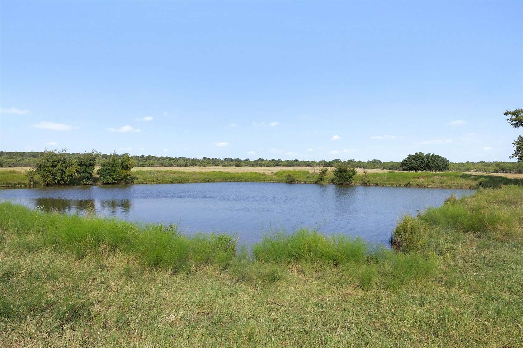 80.9 Acres of Agricultural Land for Sale in Santa Anna, Texas