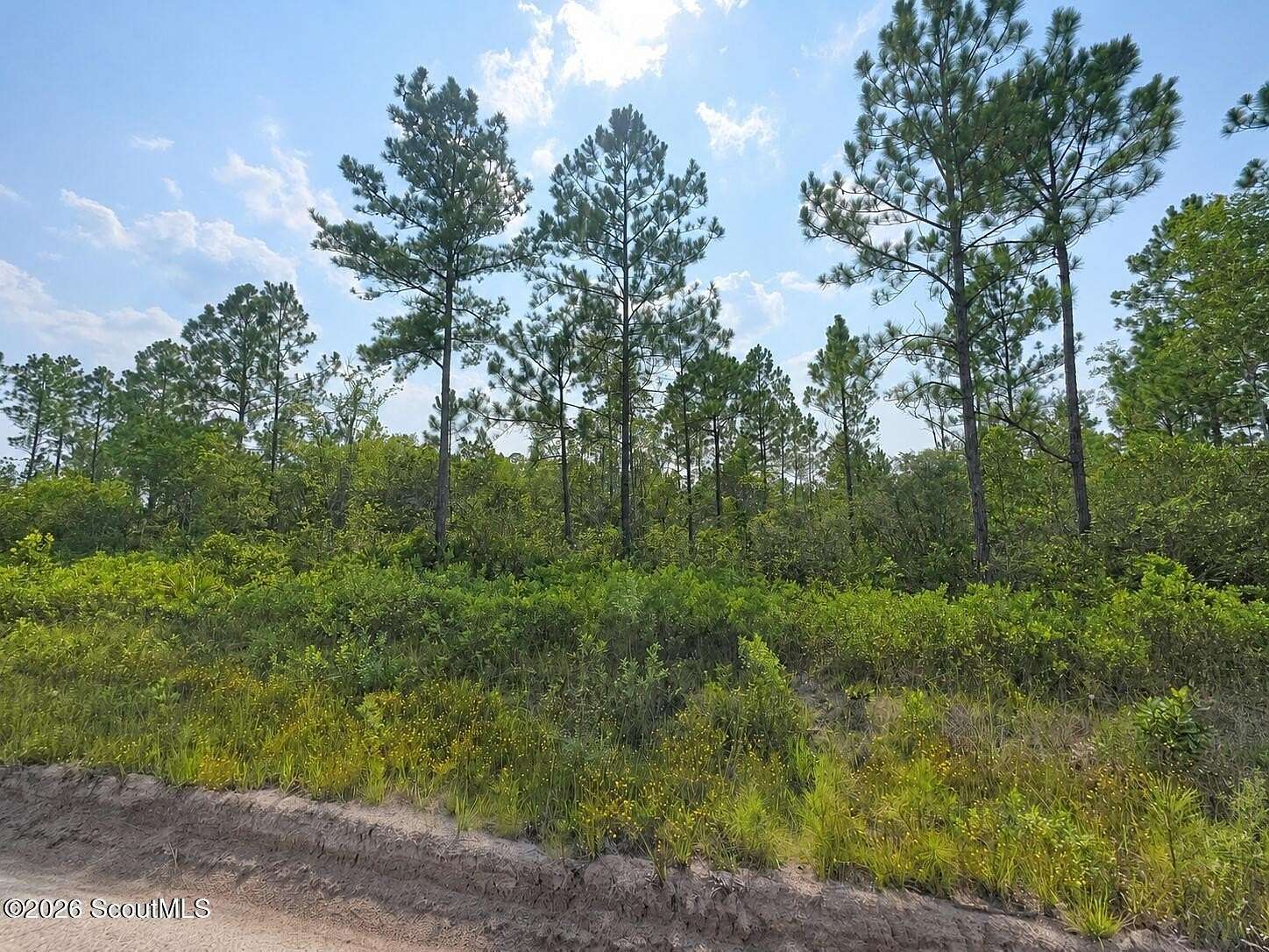 1.87 Acres of Residential Land for Sale in Waynesville, Georgia