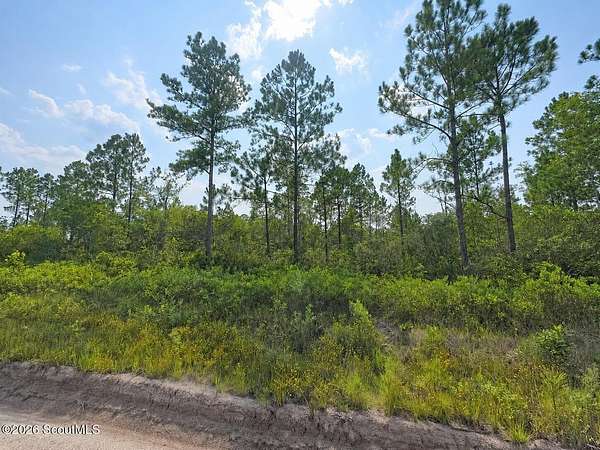 1.87 Acres of Residential Land for Sale in Waynesville, Georgia
