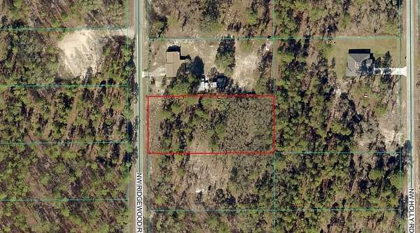 1 Acre of Residential Land for Sale in Dunnellon, Florida
