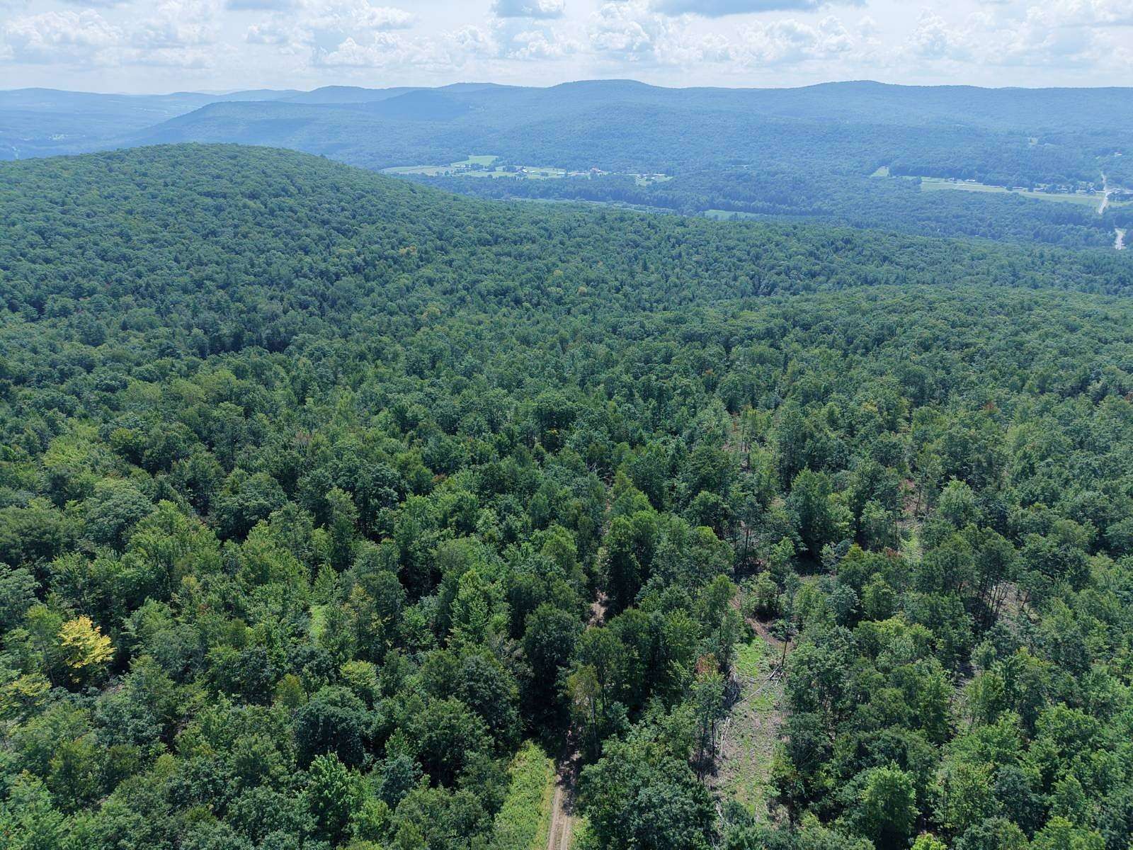 235 Acres of Recreational & Residential Land for Sale in West Davenport, New York