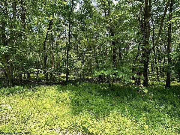 0.39 Acres of Residential Land for Sale in Terra Alta, West Virginia