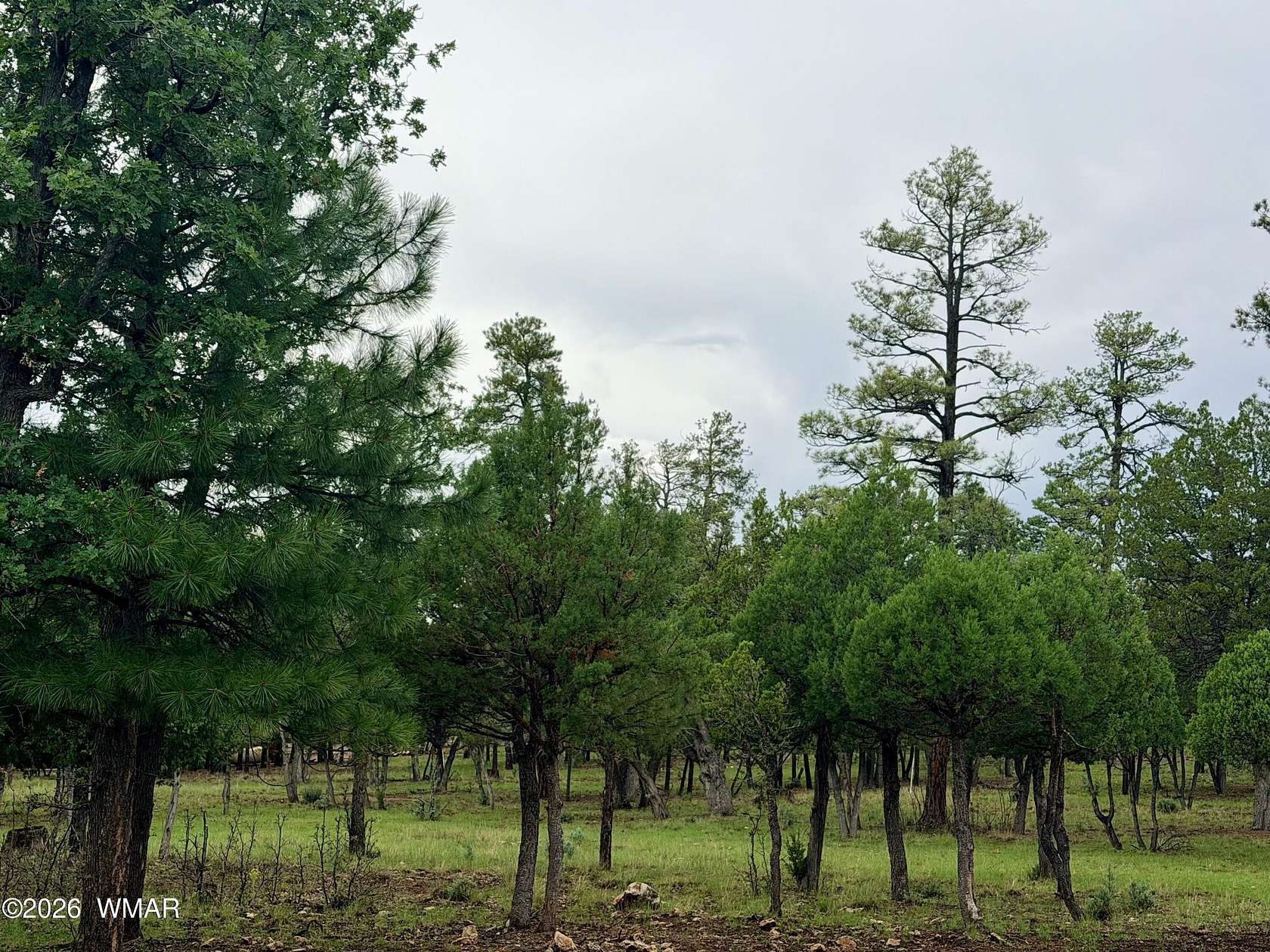 0.69 Acres of Residential Land for Sale in Happy Jack, Arizona
