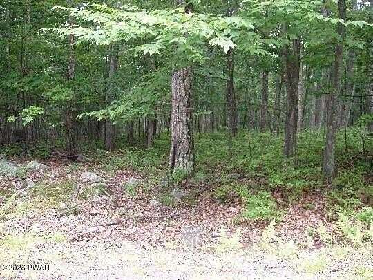 0.55 Acres of Residential Land for Sale in Hawley, Pennsylvania