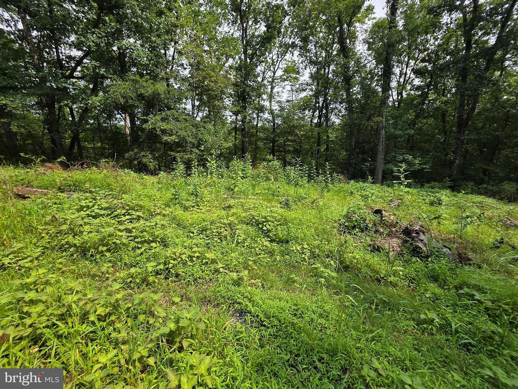 4 Acres of Land for Sale in Hedgesville, West Virginia