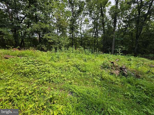 4 Acres of Land for Sale in Hedgesville, West Virginia