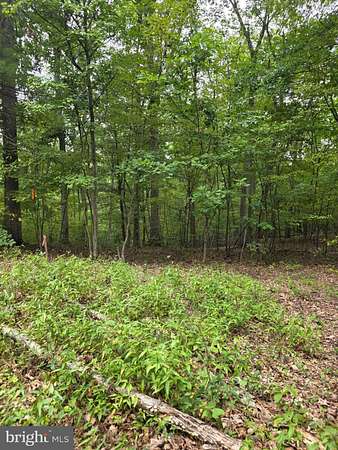 4 Acres of Land for Sale in Hedgesville, West Virginia