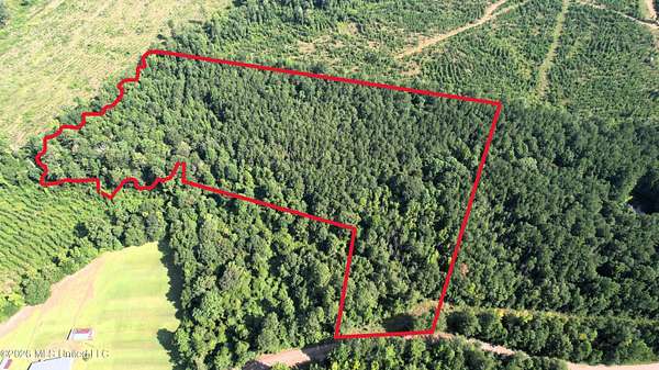 13.6 Acres of Land for Sale in Sontag, Mississippi