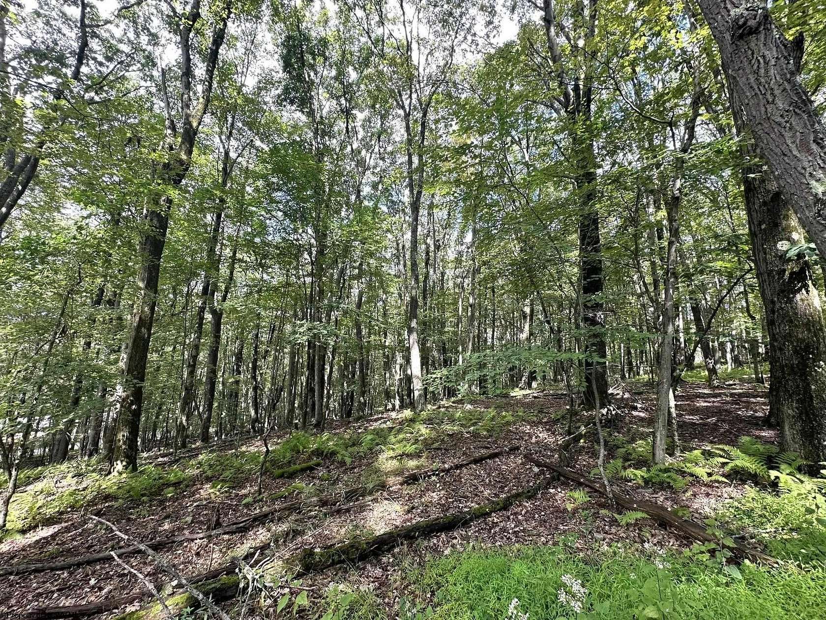 0.61 Acres of Residential Land for Sale in Terra Alta, West Virginia