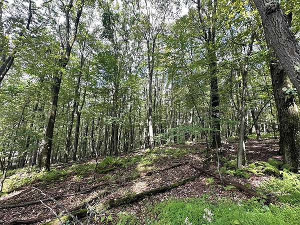 0.61 Acres of Residential Land for Sale in Terra Alta, West Virginia