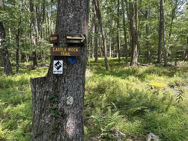 0.43 Acres of Residential Land for Sale in Terra Alta, West Virginia