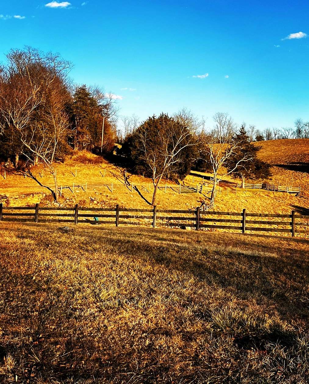 170 Acres of Improved Recreational Land for Lease in Stanardsville, Virginia