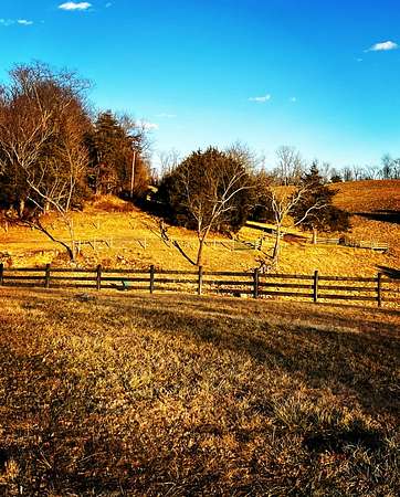 170 Acres of Improved Recreational Land for Lease in Stanardsville, Virginia