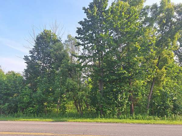 5 Acres of Land for Sale in Le Roy, Michigan