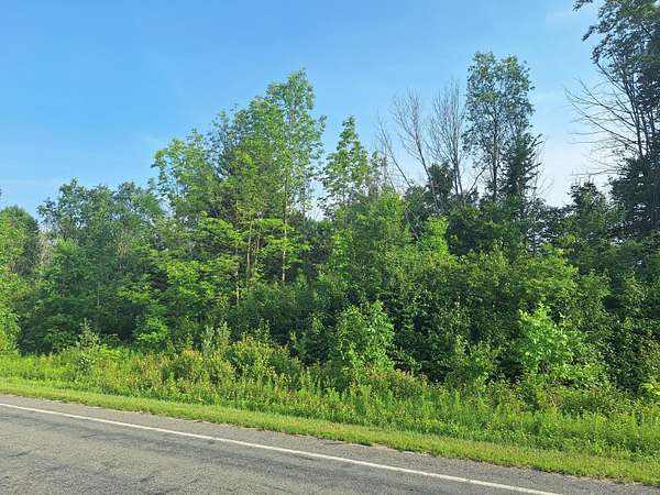5 Acres of Commercial Land for Sale in Le Roy, Michigan