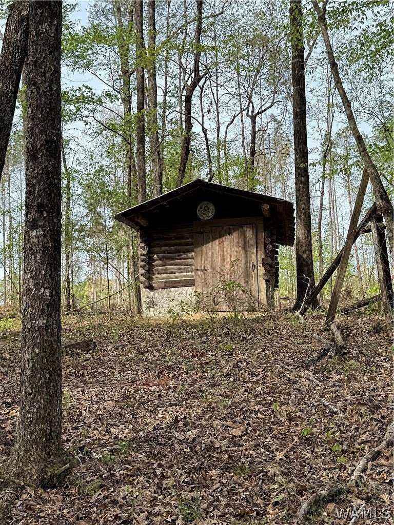 80 Acres of Land for Sale in Berry, Alabama
