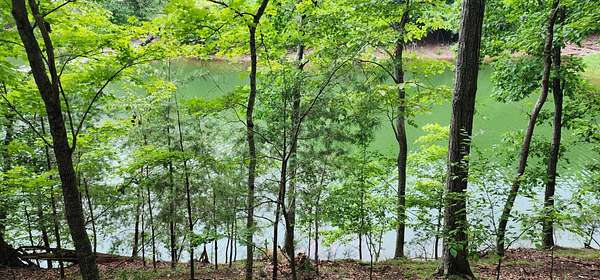 0.66 Acres of Residential Land for Auction in Mooresburg, Tennessee