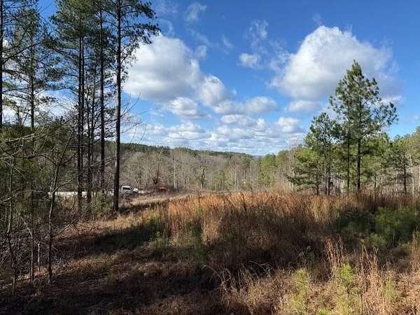 3.66 Acres of Residential Land for Sale in Haletown, Tennessee