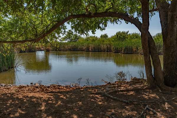 505 Acres of Land for Sale in Childress, Texas