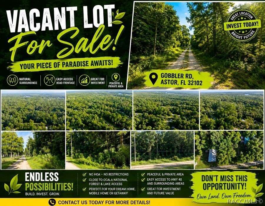 0.17 Acres of Residential Land for Sale in Astor, Florida