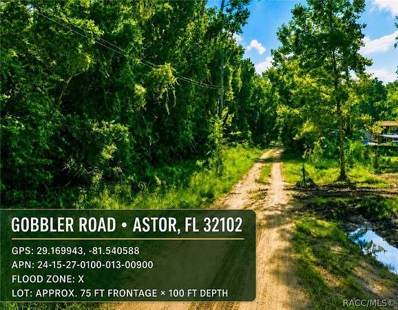 0.17 Acres of Residential Land for Sale in Astor, Florida