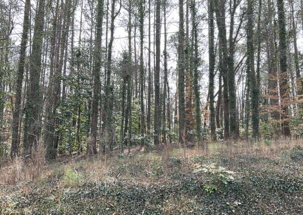 2 Acres of Residential Land for Sale in Tallapoosa, Georgia