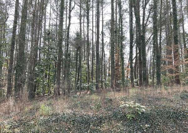 2 Acres of Residential Land for Sale in Tallapoosa, Georgia