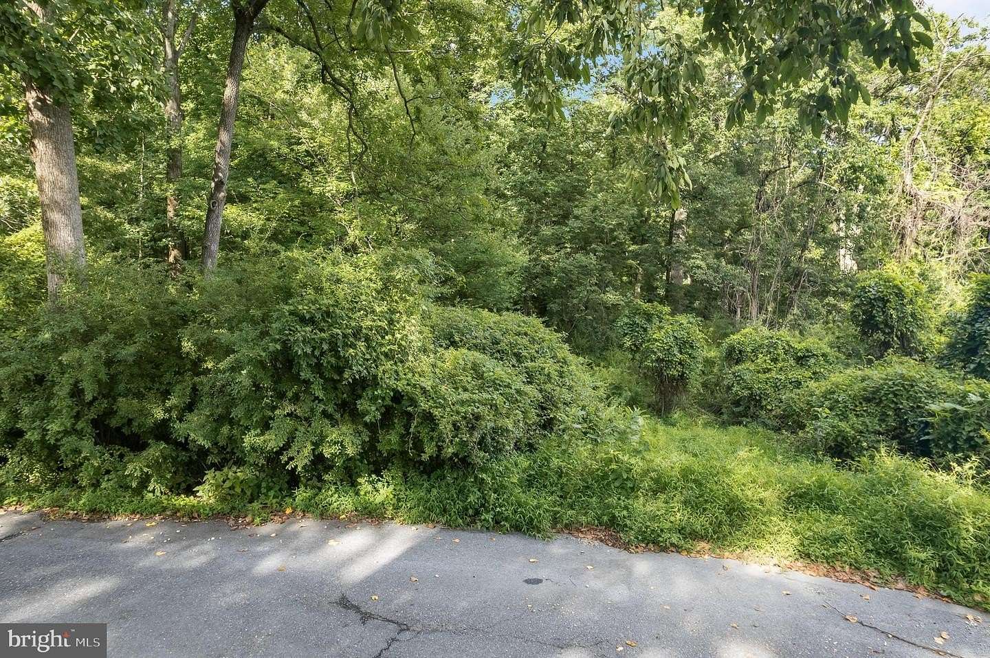 1.15 Acres of Residential Land for Sale in Ellicott City, Maryland