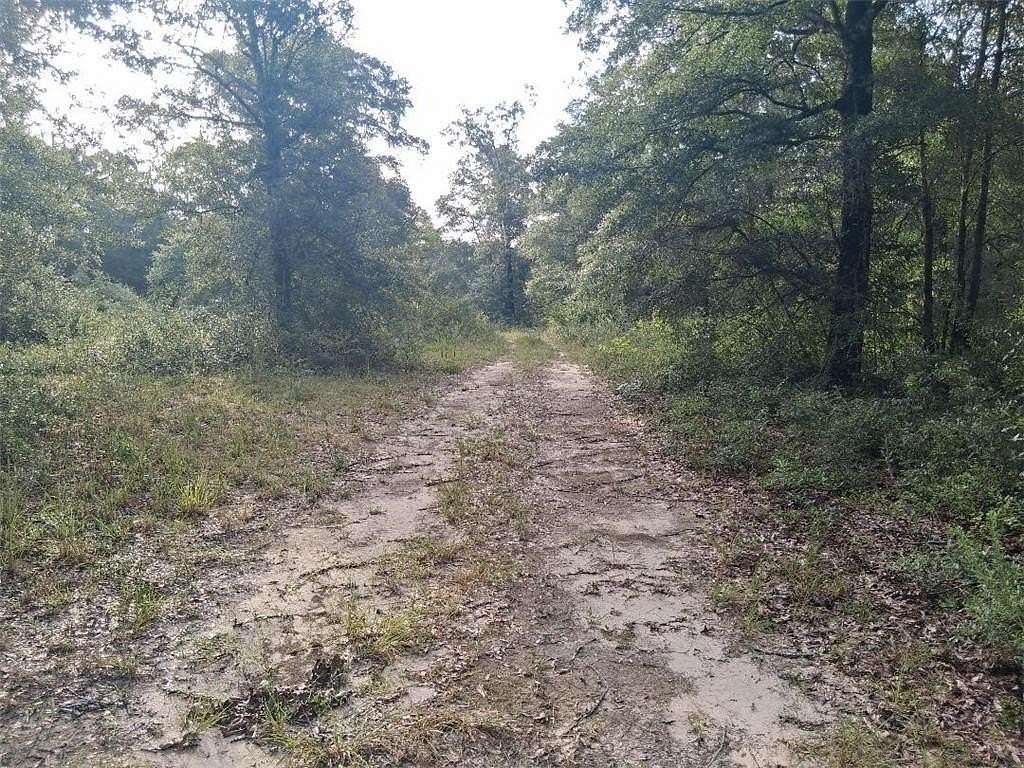 10.3 Acres of Land for Sale in Wilmer, Alabama