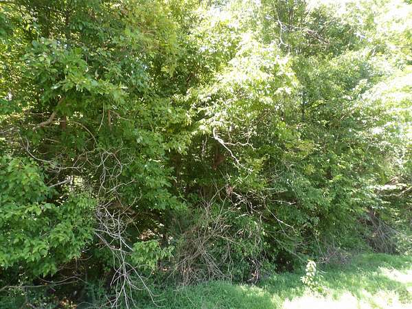 33.4 Acres of Agricultural Land for Sale in Waverly, Tennessee