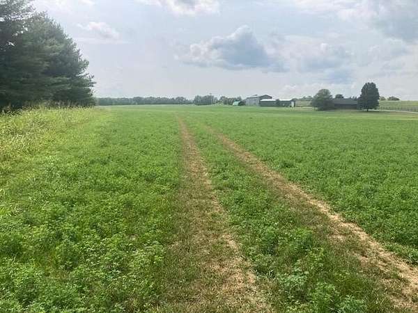 43.5 Acres of Agricultural Land for Sale in Cynthiana, Kentucky