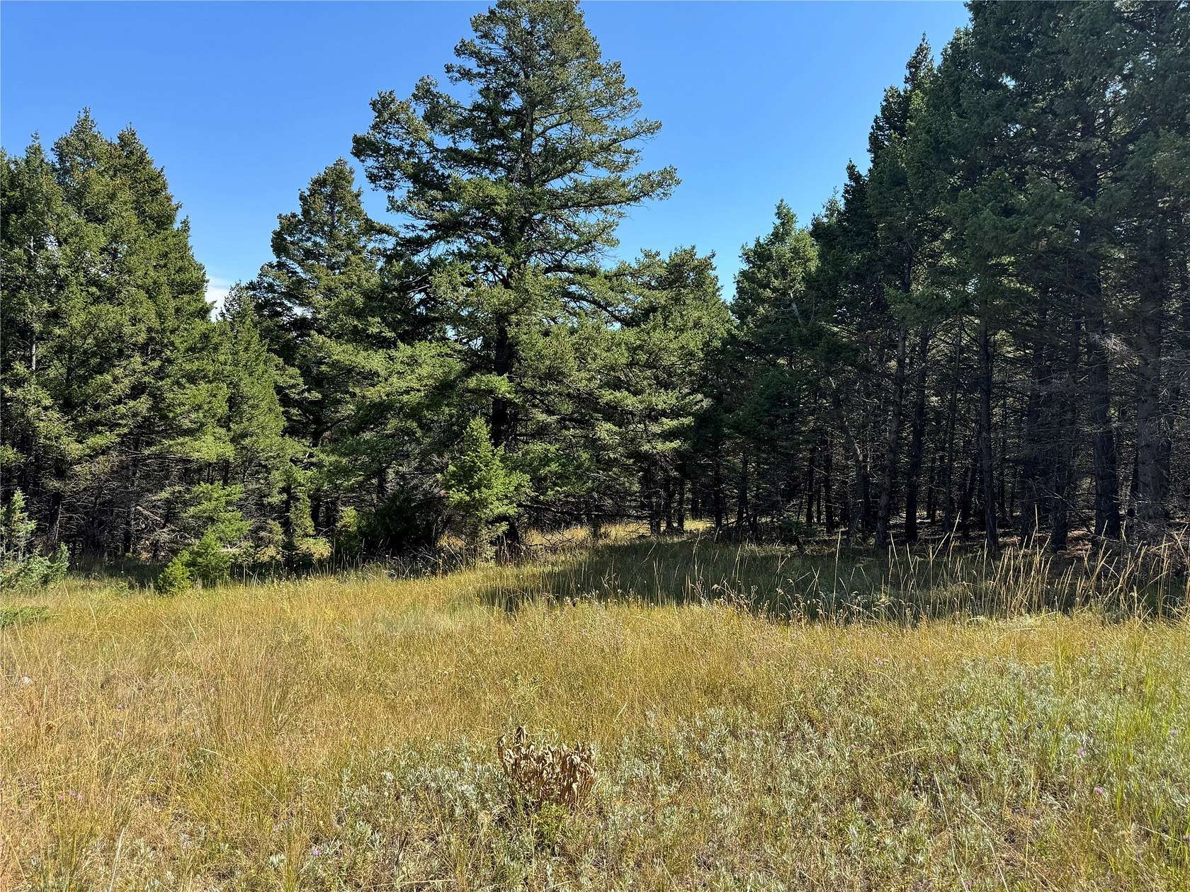 23.2 Acres of Recreational Land for Sale in Helena, Montana