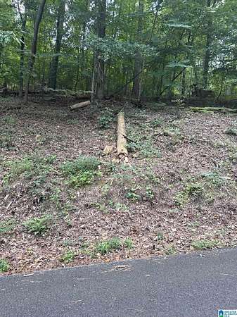 0.55 Acres of Residential Land for Sale in Tuscaloosa, Alabama