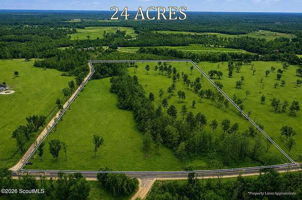 24.3 Acres of Land for Sale in Uvalda, Georgia